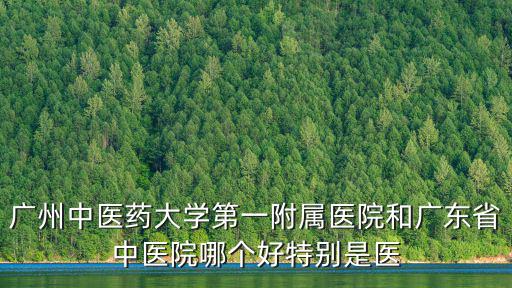 廣州中醫藥大學第一附屬醫院和廣東省中醫院哪個好特別是醫