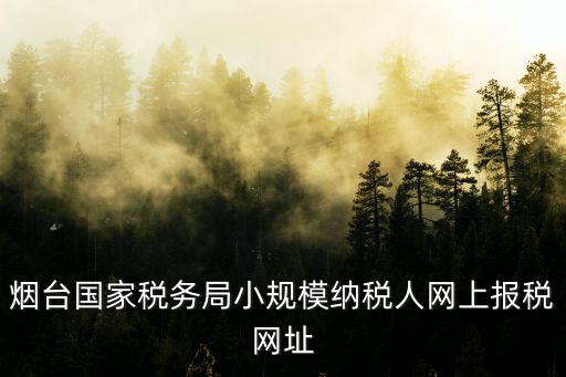 煙臺國家稅務局小規模納稅人網上報稅網址