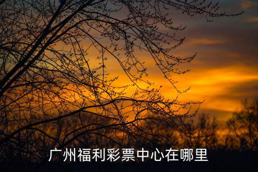 廣州福利彩票中心在哪里