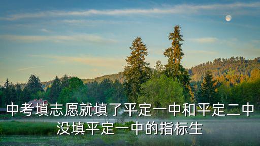 中考填志愿就填了平定一中和平定二中沒填平定一中的指標生