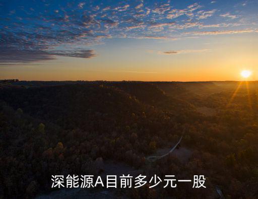 深圳能源股票，深圳能源這支股票怎么樣
