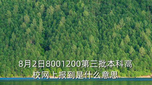 8月2日8001200第三批本科高校網上報到是什么意思