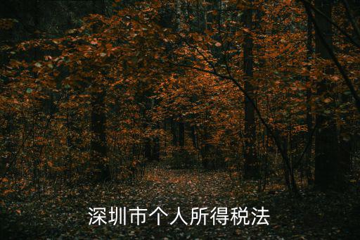 深圳市個人所得稅法