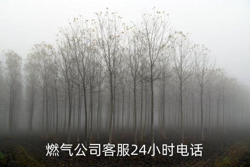 燃氣公司客服24小時電話