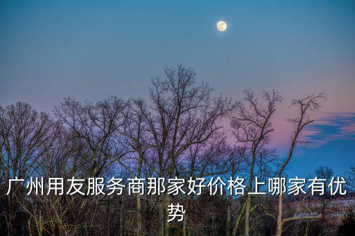 廣州用友服務(wù)商那家好價(jià)格上哪家有優(yōu)勢