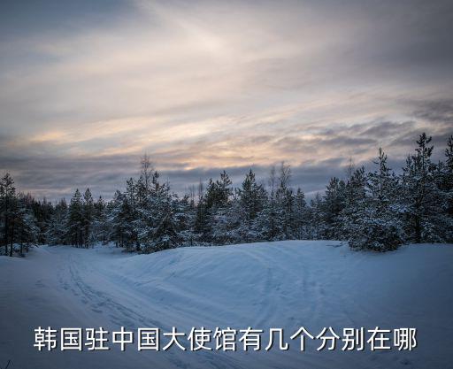 韓國駐中國大使館有幾個分別在哪