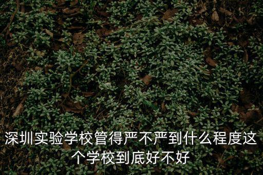深圳實驗學(xué)校管得嚴(yán)不嚴(yán)到什么程度這個學(xué)校到底好不好