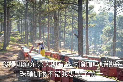 我想知道東莞大朗有金珠瑜伽嗎聽說金珠瑜伽很不錯我想去了解一