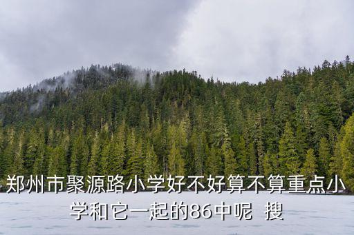 鄭州市聚源路小學好不好算不算重點小學和它一起的86中呢  搜