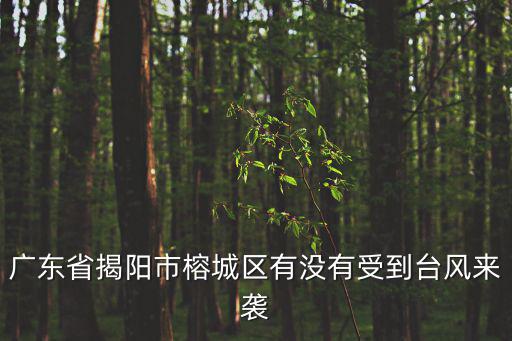 廣東省揭陽市榕城區(qū)，廣東省揭陽市榕城區(qū)有沒有受到臺風來襲