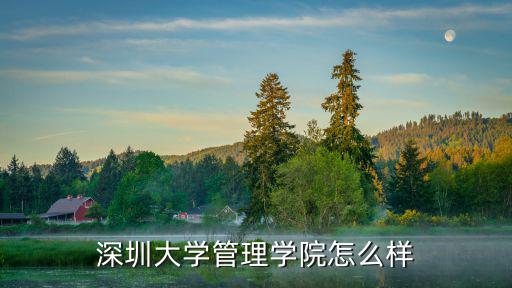 深圳大學管理學院怎么樣