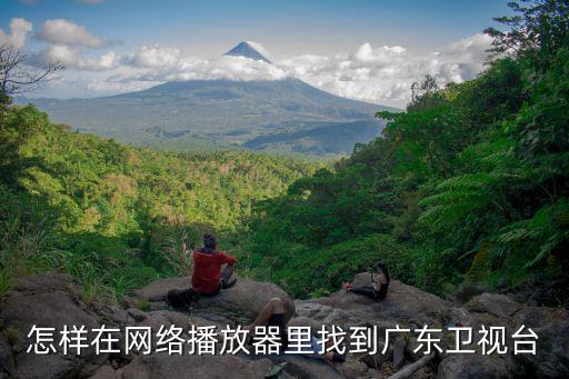 怎樣在網(wǎng)絡(luò)播放器里找到廣東衛(wèi)視臺(tái)