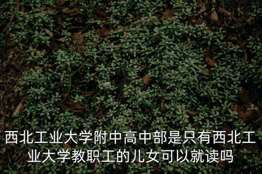 西北工業(yè)大學(xué)附中高中部是只有西北工業(yè)大學(xué)教職工的兒女可以就讀嗎