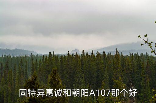 固特異惠誠和朝陽A107那個好