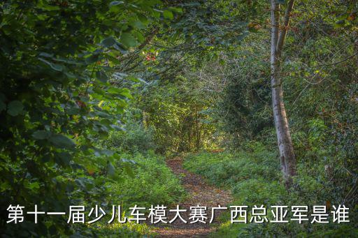 第十一屆少兒車模大賽廣西總亞軍是誰(shuí)