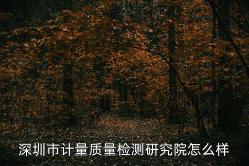深圳市計(jì)量質(zhì)量檢測研究院怎么樣