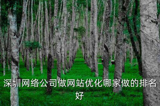 深圳網絡公司做網站優化哪家做的排名好