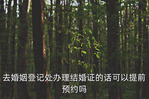 去婚姻登記處辦理結(jié)婚證的話可以提前預(yù)約嗎