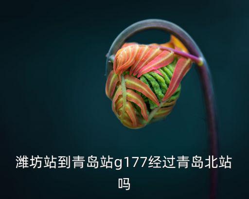 g177，濰坊站到青島站g177經過青島北站嗎