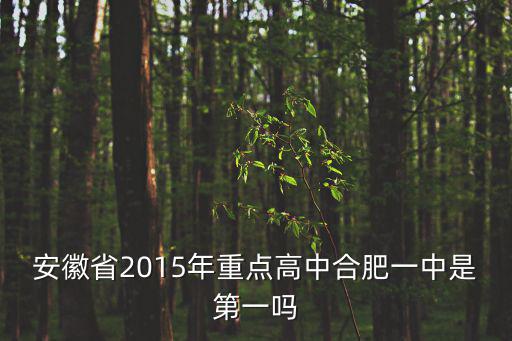 安徽省2015年重點高中合肥一中是第一嗎