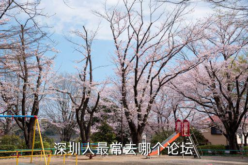深圳人最常去哪個論壇
