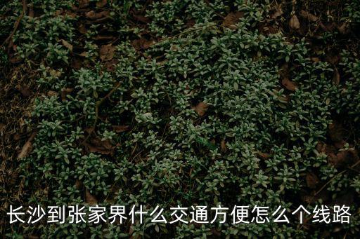 長(zhǎng)沙到張家界什么交通方便怎么個(gè)線(xiàn)路