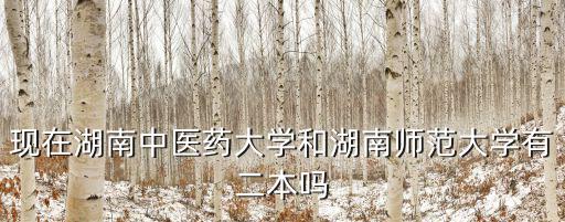 現在湖南中醫藥大學和湖南師范大學有二本嗎