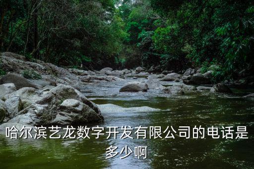 哈爾濱藝龍數(shù)字開發(fā)有限公司的電話是多少啊