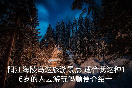 陽江海陵島這旅游景點 適合我這種16歲的人去游玩嗎順便介紹一