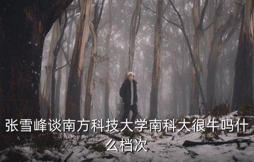 南京科技大學，如何看待南京科技大學自主招生