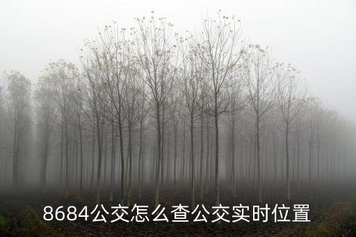 8684公交怎么查公交實時位置