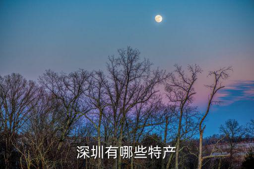 深圳特產(chǎn)，深圳有什么特產(chǎn)方便攜帶