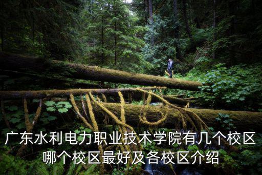 廣東水利電力職業技術學院有幾個校區哪個校區最好及各校區介紹