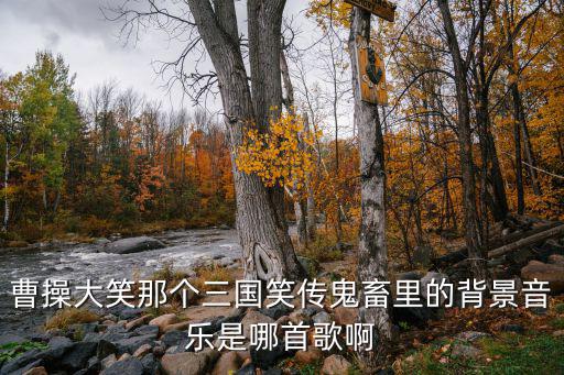 曹操大笑那個(gè)三國(guó)笑傳鬼畜里的背景音樂(lè)是哪首歌啊