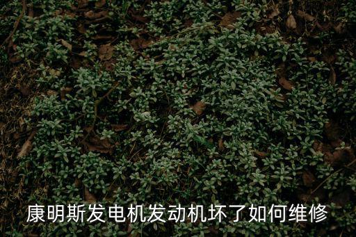 康明斯發電機發動機壞了如何維修