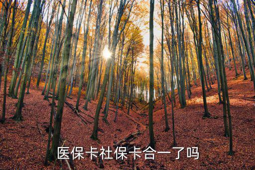 醫?？ㄉ绫？ê弦涣藛?，社?？ê歪t保卡合一了嗎