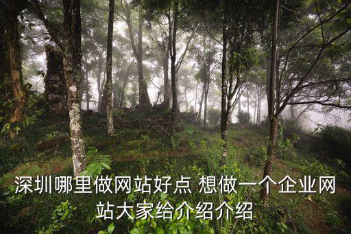 深圳哪里做網站好點 想做一個企業網站大家給介紹介紹