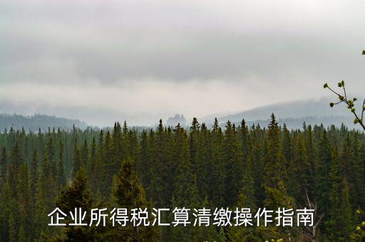 企業所得稅匯算清繳操作指南