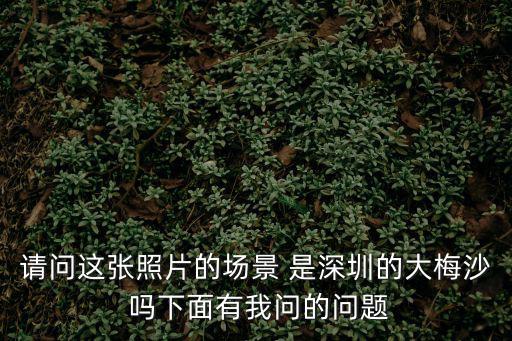 深圳春花天橋，想知道 深圳市 新州天橋 在哪