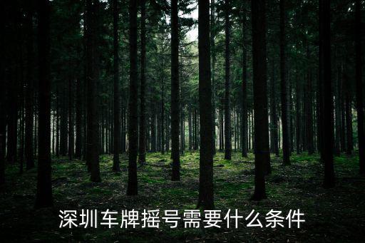 深圳汽車搖號，手機可以申請深圳機動車搖號嗎