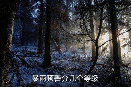 暴雨預(yù)警分幾個(gè)等級(jí)