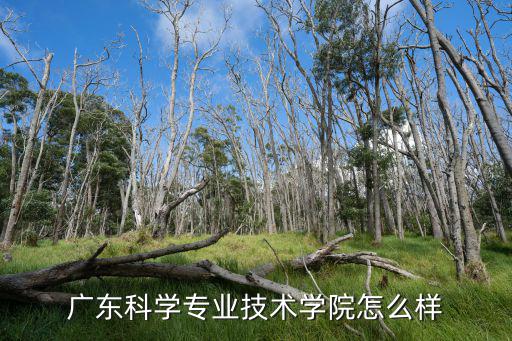 廣東科學(xué)專業(yè)技術(shù)學(xué)院怎么樣