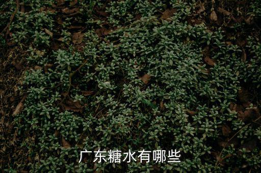 廣東糖水，廣東糖水做法大全怎么做味道好