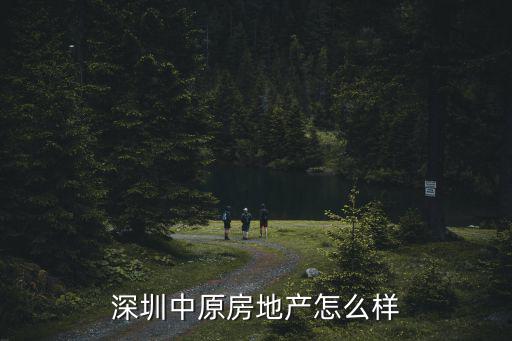 深圳中原房地產(chǎn)怎么樣