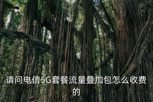 請問電信5G套餐流量疊加包怎么收費的