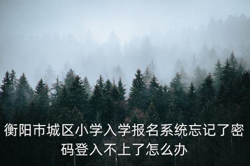 小學(xué)入學(xué)服務(wù)系統(tǒng)，衡陽(yáng)市城區(qū)小學(xué)入學(xué)報(bào)名系統(tǒng)忘記了密碼登入不上了怎么辦