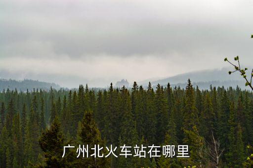 廣州北火車站在哪里