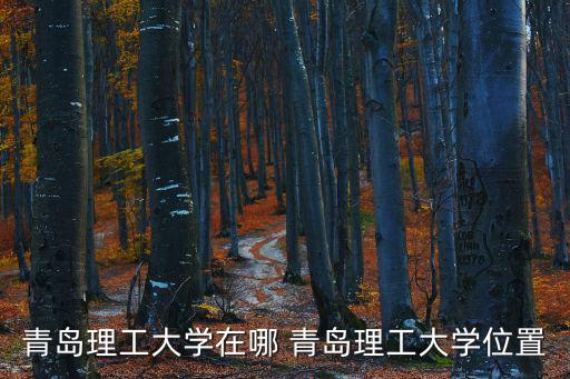 青島理工大學黃島校區，青島理工大學黃島校區的具體位置