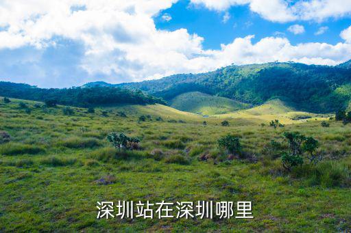 深圳站在深圳哪里