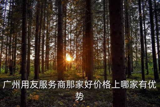 廣州用友，在用友代理商公司做用友二次開發(fā)以后跳槽容易嗎
